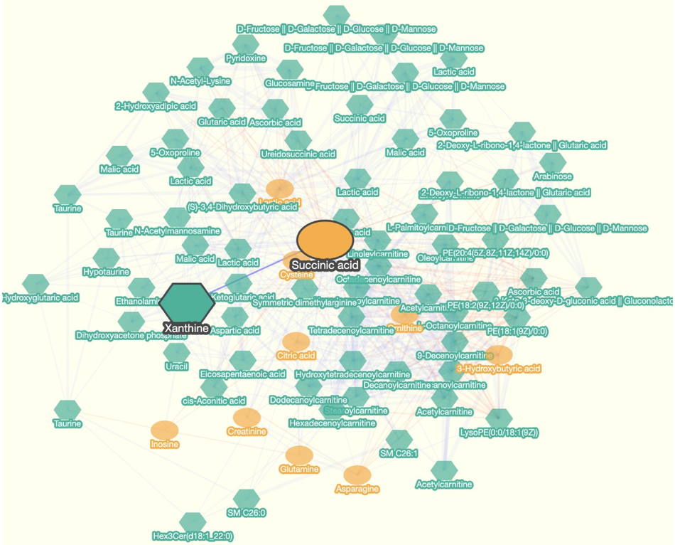 ../../_images/metabolite_correlation_network-network_plot_panel.en.png